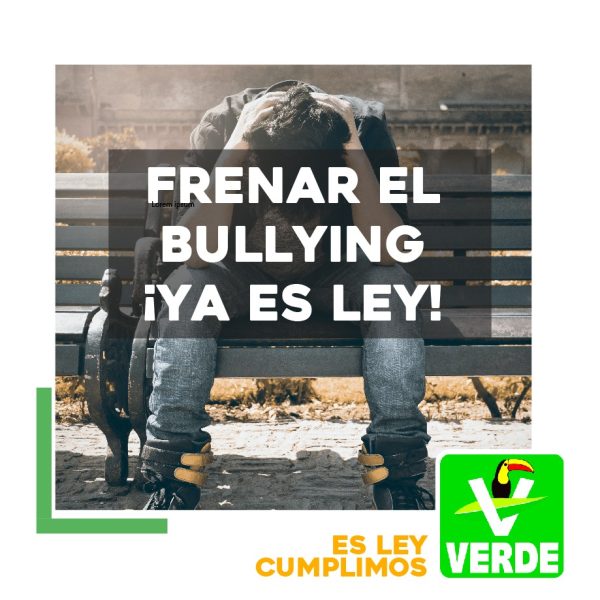 PARTIDO VERDE CUMPLE Y LE DICE ADIÓS AL BULLYING