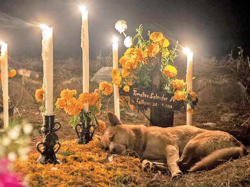 Mantienen viva la tradición del Día de muertos; saturan panteones
