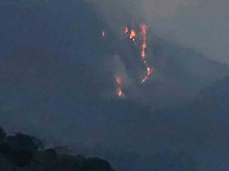 Dan bienvenida en Zoológico de Chihuahua a grandes felinos rescatados