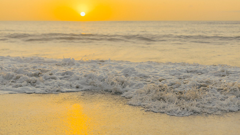 ONU anuncia acuerdo para proteger el 30% los océanos del mundo