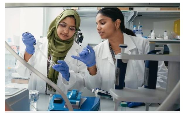 Desarrollan en UTEP tratamiento para fibrosis con nanopartículas