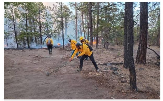 Cuarta entidad con más siniestros