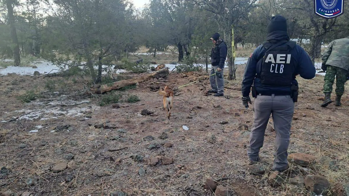 Seguirán rastreos en El Willy toda la semana