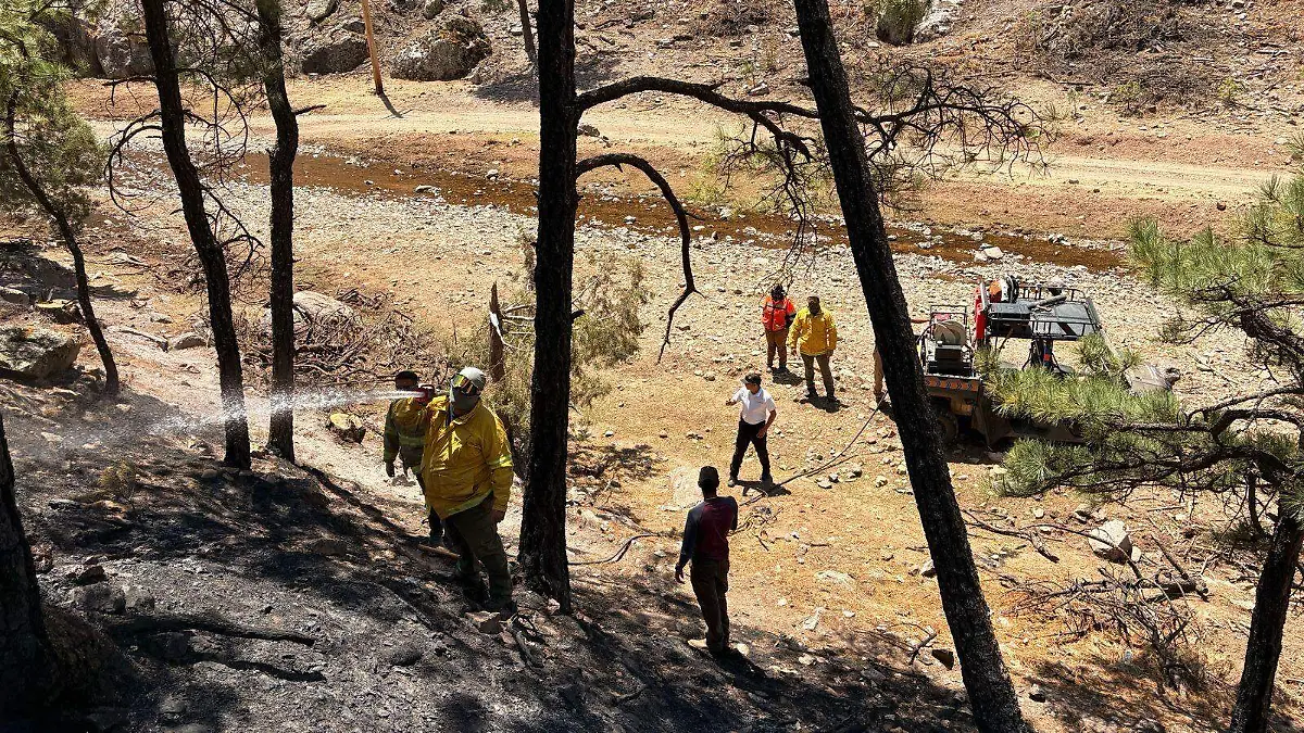 Trabaja Protección Civil en la comunidad Cueva del Toro en Guerrero para combatir incendios forestales